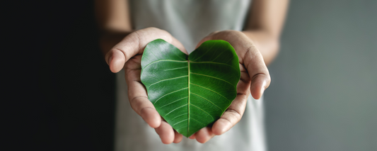Green Energy: Exploring the Heart Chakra
