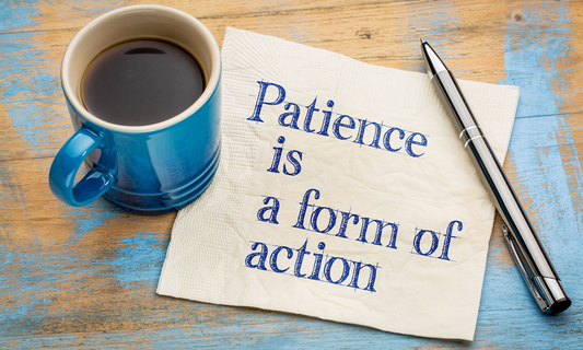Patience is a Form of Action: Redefining Proactivity